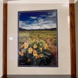 A12. Frederic Joy “Balsam Root” signed color photograph with COA. 